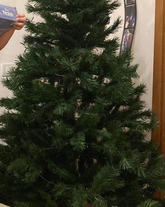 Albero di natale