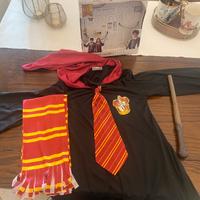 Costume Harry Potter