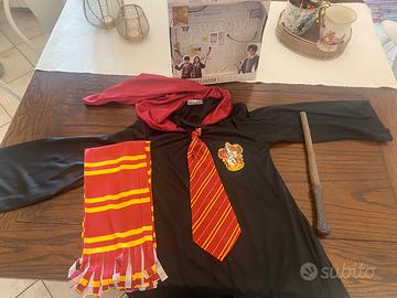 Costume Harry Potter