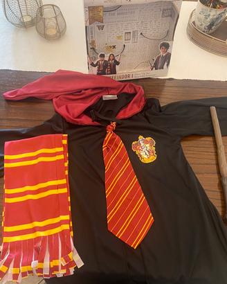 Costume Harry Potter