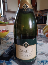 Champagne cavalieri magnum