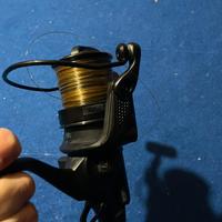 Mulinelli Mitchell carpfishing