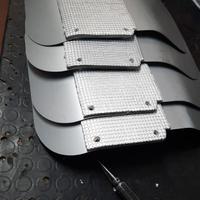 paracalore clio williams