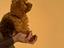 Immagine 3