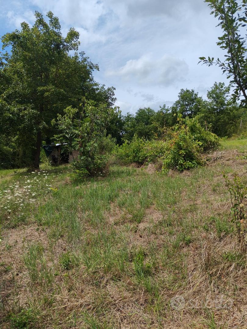 Terreno agricolo - Vista 2