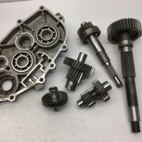 CARTER E INGRANAGGI RUOTA POSTERIORE TRASMISSIONE 