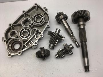 CARTER E INGRANAGGI RUOTA POSTERIORE TRASMISSIONE 