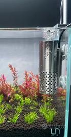 skimmer superfice acquario