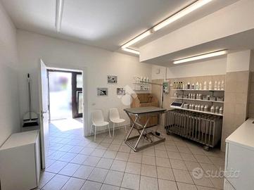 NEGOZIO A CASALSERUGO