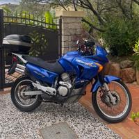 Honda XL 650 V Transalp - 2001 FMI/ Asi Storica