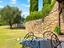Immagine 15