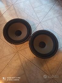 coppia woofer ciare da 25 cm