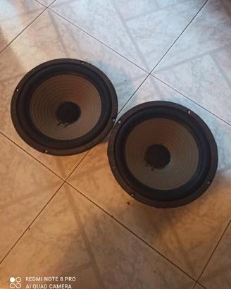 coppia woofer ciare da 25 cm