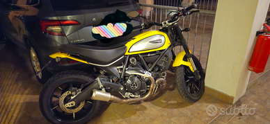 Ducati scrambler 800 icon