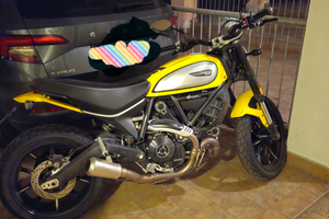 Ducati scrambler 800 icon