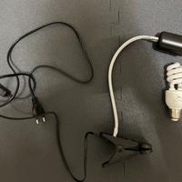 Lampada UVB per rettili