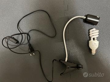 Lampada UVB per rettili