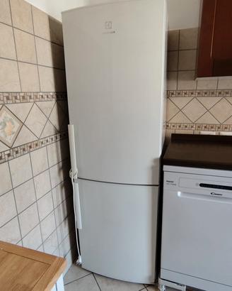 Lavastoviglie Candy e Frigorifero Electrolux