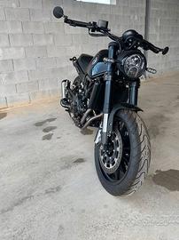 Benelli Leoncino 500