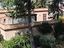 Immagine 7