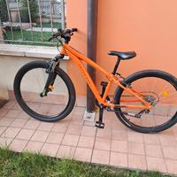 Bicicletta Mountain Bike