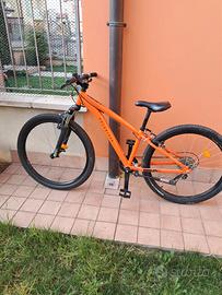 Bicicletta Mountain Bike