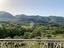Immagine 27