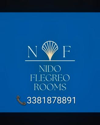 Nidoflegreo