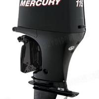 Mercury 115 efi