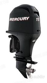 Mercury 115 efi