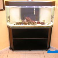 Acquario angolare 250 litri