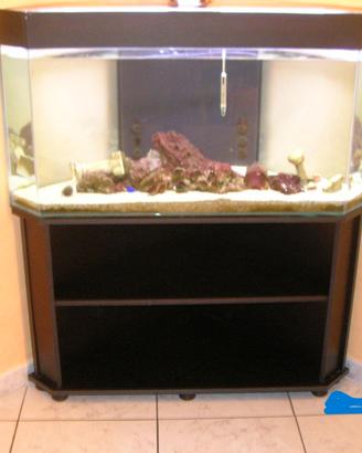 Acquario angolare 250 litri