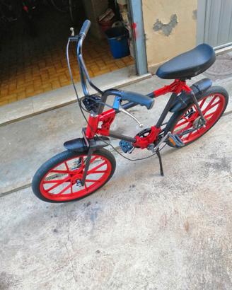 Bicicletta formicone