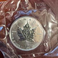Moneta da un dollaro Canada oncia argento 1989