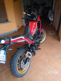 Morini xcape 650 Gold