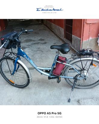 bicicletta elettrica