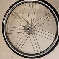 coppia di cerchi campagnolo zonda