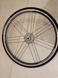 coppia di cerchi campagnolo zonda