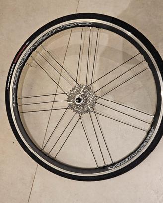 coppia di cerchi campagnolo zonda