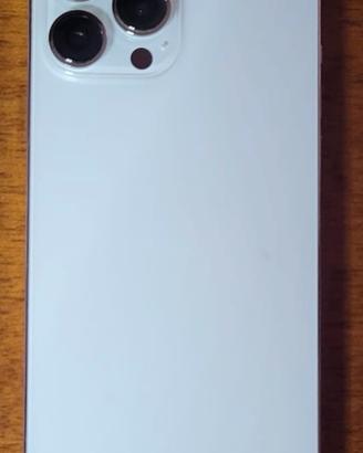 iPhone 13 Pro Max 256 gb