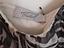 Immagine 3