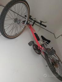 bicicletta montabike 