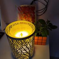 Diffusore d'aroma con la luce notturna