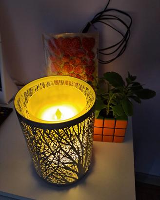 Diffusore d'aroma con la luce notturna