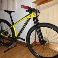 Scott scale Word Cup tg S 