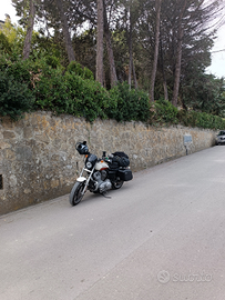 Harley Davidson 883 XL low