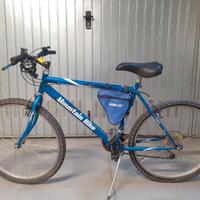 Mountain bike uomo