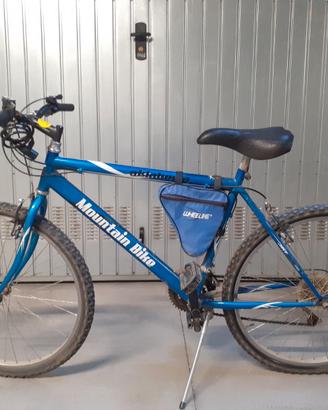 Mountain bike uomo