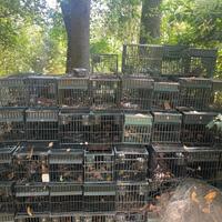 chi è interessato può verire a prenderle, sono 120