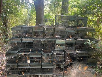 chi è interessato può verire a prenderle, sono 120